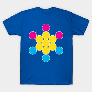 pansexual circles T-Shirt